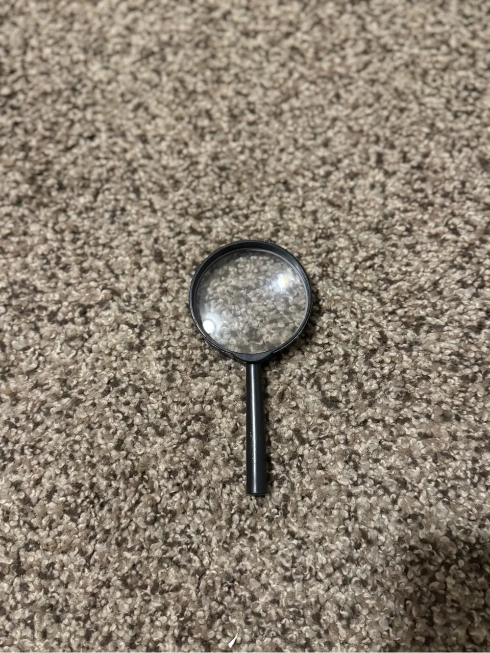 Black Handheld Magnifying Glass - Home Accents